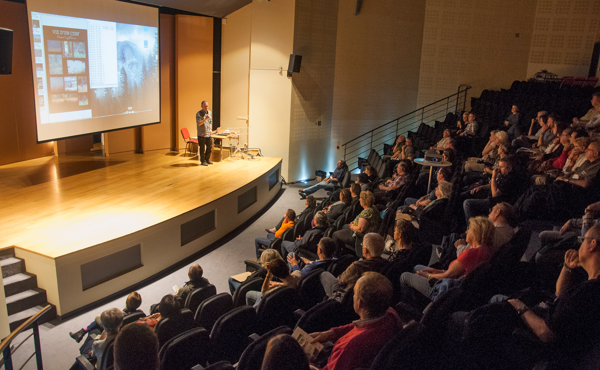 Conférences