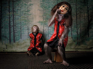 GDT – European Wildlife Photographer of the Year 2020 (D)