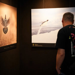 Expos Emotion'Ailes 2024 - Cathédrale Saint-Aubain Namur