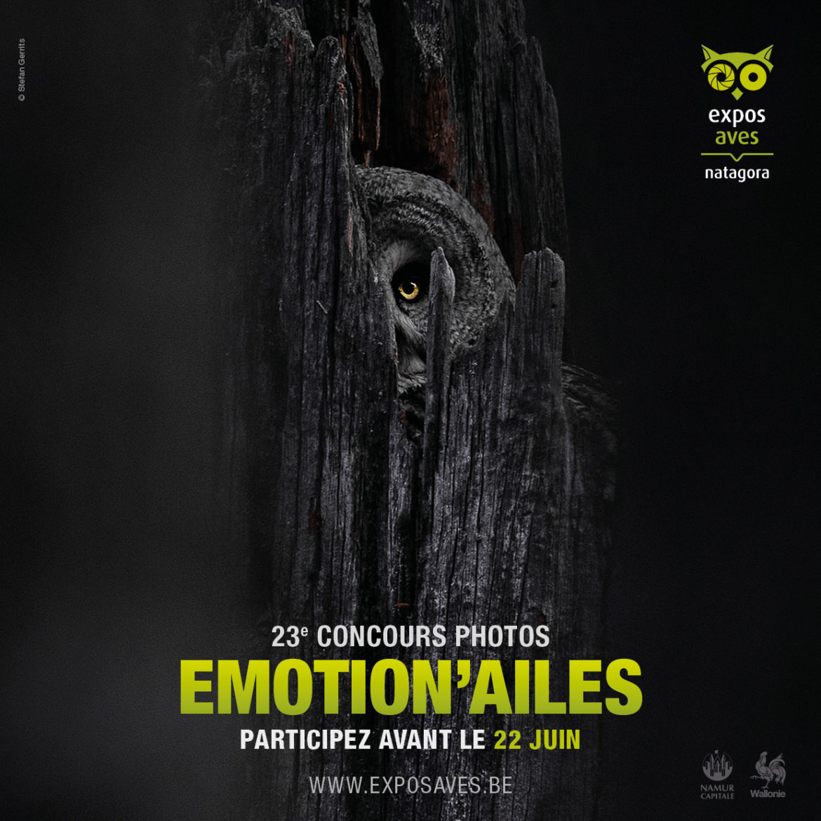Les nominés Emotion’Ailes 2025